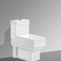 bathroom household flush toilet