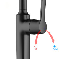 Brushed stainless steel faucet