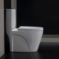 creative water saving toilet