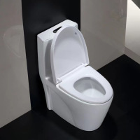 creative water saving toilet