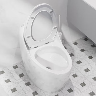 home suction toilet