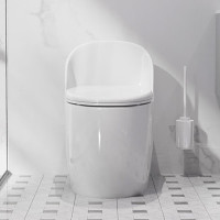 home suction toilet
