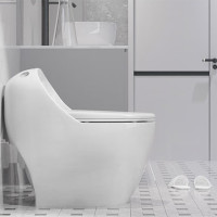 home suction toilet