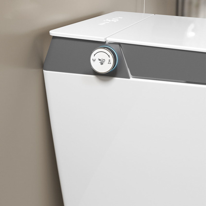 Household tankless ceramic toilet