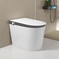 Household tankless ceramic toilet