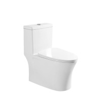 household toilet siphon floor