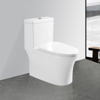 household toilet siphon floor