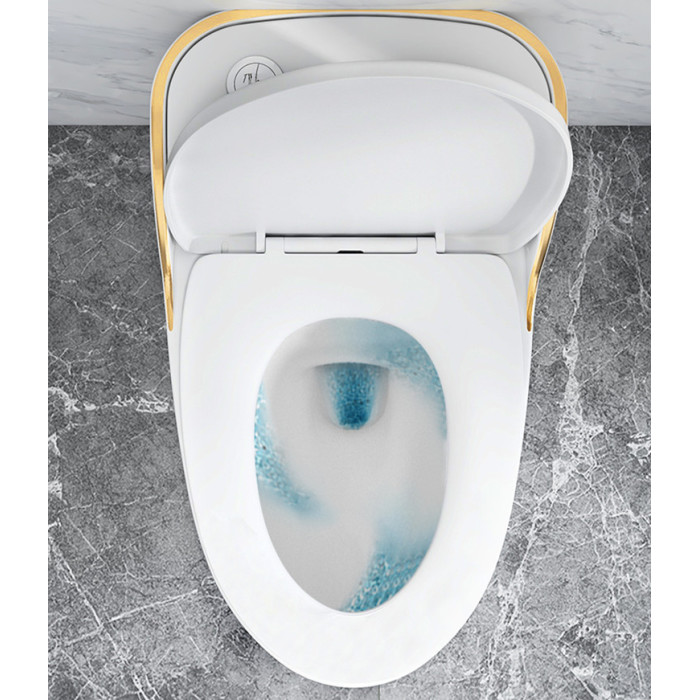 Large-diameter ordinary toilet seat toilet