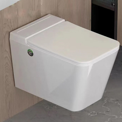 New egg-shaped personalized creative toilet