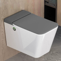 New egg-shaped personalized creative toilet