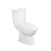 New one-piece water-saving toilet