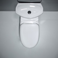 New one-piece water-saving toilet