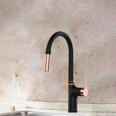 nordic black drawing water dragon head