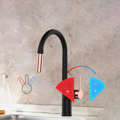 nordic black drawing water dragon head