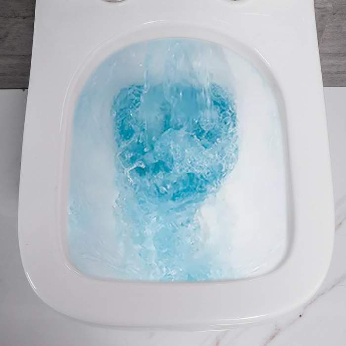 Wall hung toilet small apartment